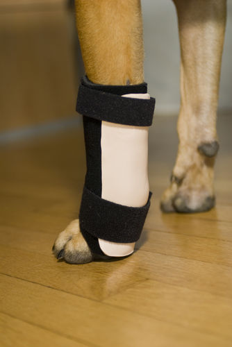 Steccobenda veterinaria per tunnel carpale - Thera-Paw - canina