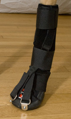 Steccobenda veterinaria per zampe - Forelimb Dorsi-Flex Assist - Thera-Paw - canina