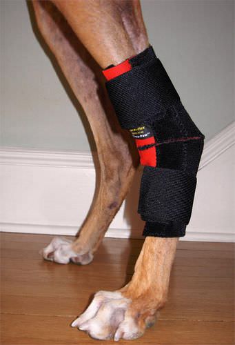 Proteggi-articolazioni veterinario proteggigomiti - Thera-Paw