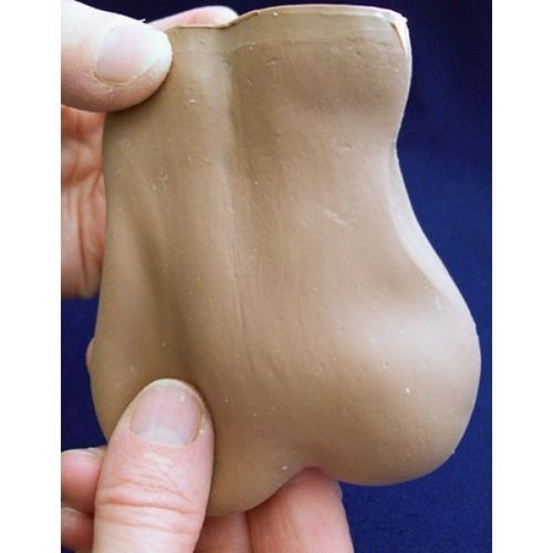 Modello anatomico di testicoli - ZKL-106-A - Educational + Scientific Products Ltd - ad uso didattico / in plastica / flessibile