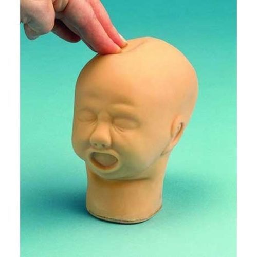 Modello anatomico di testa - ZKK-240-K - Educational + Scientific Products Ltd - di palpazione / di feto / flessibile