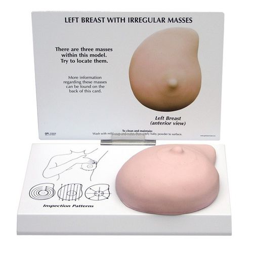 Modello anatomico di seno - 3401 - GPI Anatomicals - ad uso didattico / oncologico