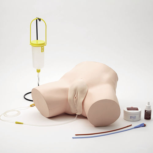 Simulatore didattico - M160-2 - Sakamoto Model Corporation - per cateterismo urinario / per cure urologiche / femminile