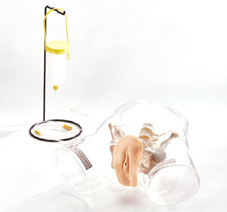 Simulatore didattico - M160 - Sakamoto Model Corporation - per cateterismo urinario / per cure urologiche / femminile