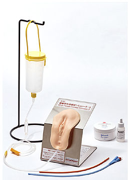 Simulatore didattico - M180 - Sakamoto Model Corporation - per cateterismo urinario / per cure urologiche / femminile