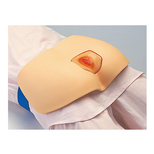 Simulatore di trattamento delle piaghe da decubito - M156 - Sakamoto Model Corporation - di gluteo