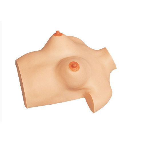 Simulatore di palpazione mammaria - M114-1 - Sakamoto Model Corporation - per cure ginecologiche / femminile / di seno