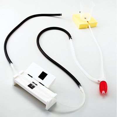 Simulatore per misurazione della pressione arteriosa - M154 - Sakamoto Model Corporation - per cure infermieristiche / in kit