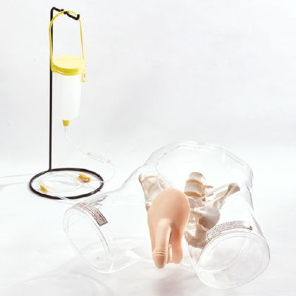 Simulatore didattico - M160-1 - Sakamoto Model Corporation - per cateterismo urinario / per cure urologiche / maschile