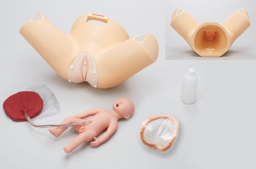 Simulatore di paziente di parto - M184 - Sakamoto Model Corporation - ostetrico/ginecologico / di gravidanza / femminile