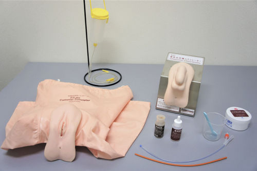 Simulatore didattico - M200-6 - Sakamoto Model Corporation - per cataterismo / per cure ginecologiche / femminile