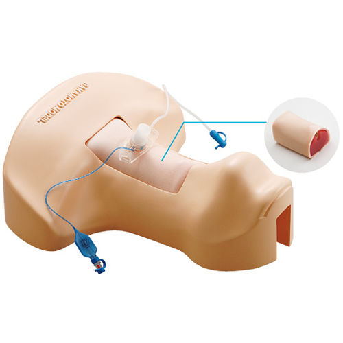 Manichino didattico per interventi di emergenza - M172 - Sakamoto Model Corporation - per tracheotomia / per puntura / di testa