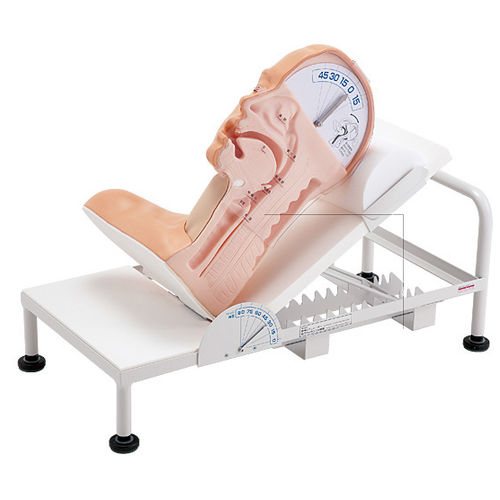Simulatore didattico - M163 - Sakamoto Model Corporation - di deglutizione / per interventi di emergenza / di testa