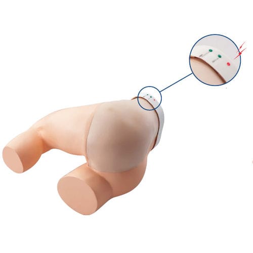 Simulatore didattico - M152-3 - Sakamoto Model Corporation - per iniezioni / per assistenza generale / di gluteo