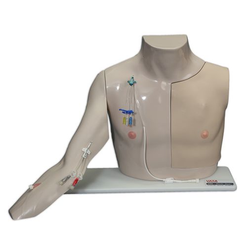 Simulatore per accesso vascolare -  Chester Chest™ - VATA, Inc. - per cateterismo endovenoso / per perfusione / didattico