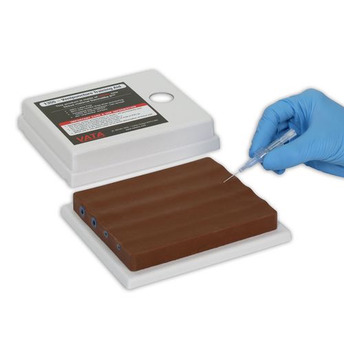 Simulatore didattico - 1354 - VATA, Inc. - per puntura venosa / per accesso vascolare / per assistenza generale