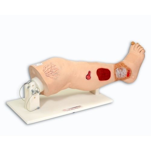 Modello anatomico di gamba - Vinnie™ - VATA, Inc. - didattico / ad uso didattico / di trattamento delle piaghe da decubito