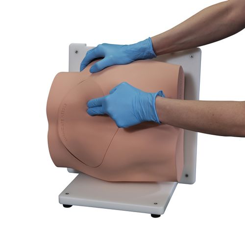 Simulatore per puntura - BONNIE™ - VATA, Inc. - di palpazione / per biopsia / per assistenza generale