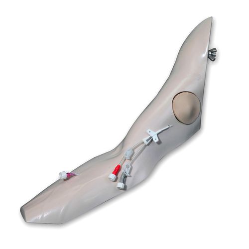 Simulatore per perfusione - 2386 - VATA, Inc. - didattico / per assistenza generale / di braccio