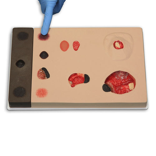 Modello anatomico osseo - 980 - VATA, Inc. - di malleolo / della pelle / di trattamento delle piaghe da decubito