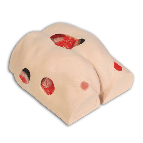Modello anatomico lombo-sacrale - Seymour II™ - VATA, Inc. - di trattamento delle piaghe da decubito