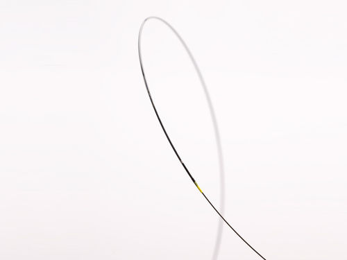 Catetere PTCA - Arriva™ PTCA - InSitu Technologies - coronarico / con palloncino