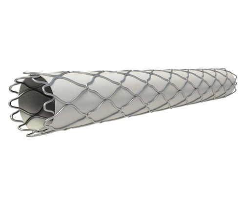 Innesto stent coronarico - Direct-Stent®  - InSitu Technologies - in acciaio inossidabile