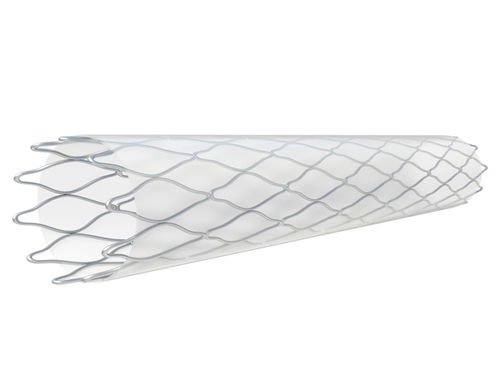 Stent periferico - Silene™ - InSitu Technologies - in cobalto-cromo