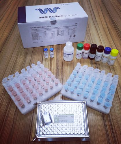 Test rapido per diagnosi COVID-19 - IGRA ELISA - Beijing Wantai Biological Pharmacy Enterprise Co., Ltd.  - di proteine / SARS-COV-2 / di sangue totale