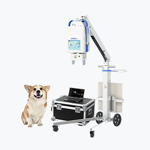 Sistema di radiografia veterinaria digitale - Beatle-06P1(Vet-S) - Browiner - portatile