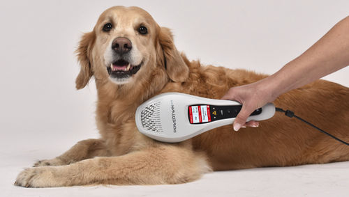 Laser veterinario per fotostimolazione veterinaria - PowerTwin XP5 - MKW Lasersystem - a diodo / a mano