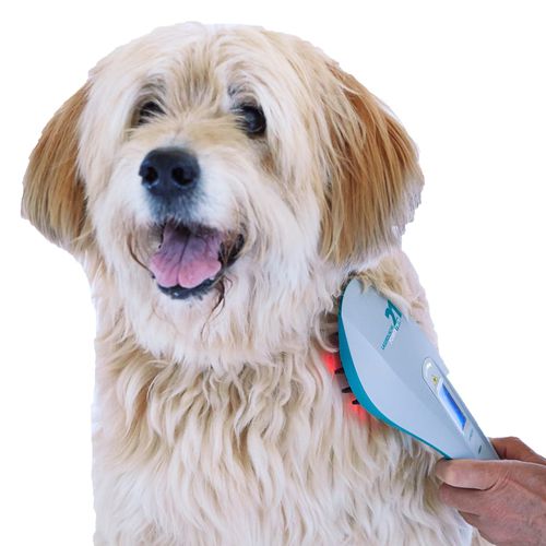 Laser veterinario per fotostimolazione veterinaria - POWERTWIN 21 - MKW Lasersystem - a diodo / a mano
