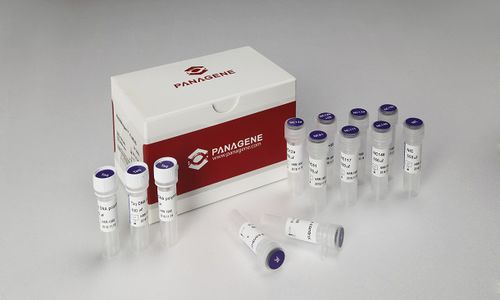Reagente in soluzione - PNAR-2001 - Panagene Inc. - oncologico / liquido / per mutazioni NRAS