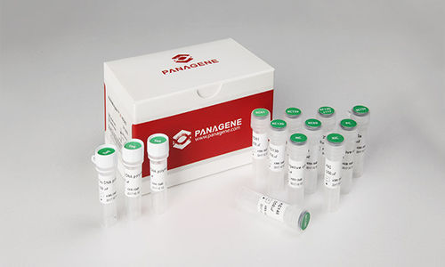 Reagente in soluzione - PNAR-1001 - Panagene Inc. - oncologico / liquido / per mutazioni di KRAS