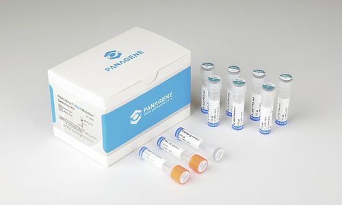 Kit di test oncologico - PNACIamp™ - Panagene Inc. - di oncologia / per mutazioni NRAS / per tessuti