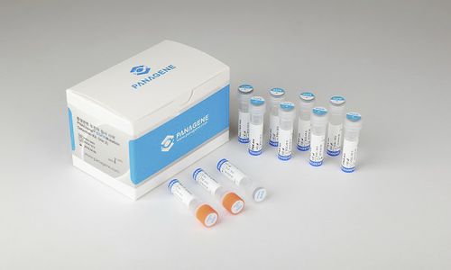 Kit di test del cancro del polmone - PNACIamp™ - Panagene Inc. - di oncologia / per mutazioni del gene EGFR / per tessuti