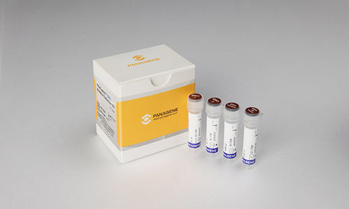 Kit di test oncologico - PNACIamp™ - Panagene Inc. - di oncologia / per RT-PCR