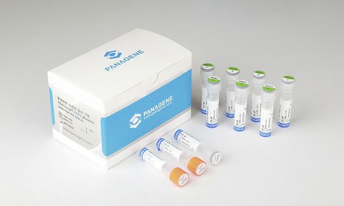 Kit di test oncologico - PNACIamp™ - Panagene Inc. - di oncologia / per mutazioni di KRAS / di piombo