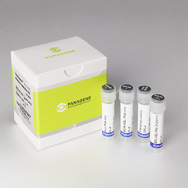 Kit di test della leucemia - PNACIamp™ - Panagene Inc. - per tessuti / per RT-PCR