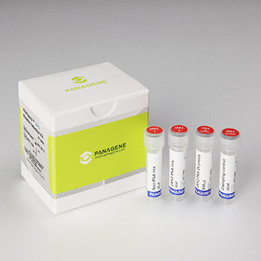 Kit di test oncologico - PNACIamp™ - Panagene Inc. - di oncologia / per mutazioni di JAK2 / per tessuti