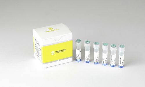 Kit di test oncologico - PNACIamp™ - Panagene Inc. - di oncologia / di tessuti paraffinati (FFPE) / per RT-PCR