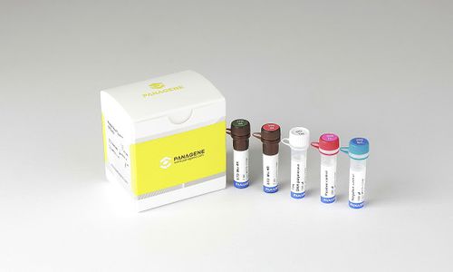 Kit di test di MST - PANA RealTyper™ - Panagene Inc. - di urina / di secrezioni vaginali