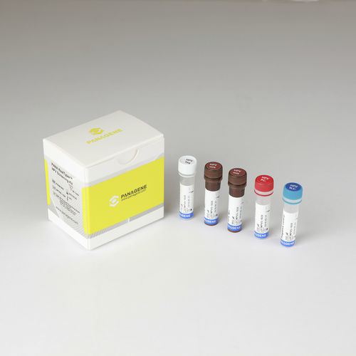 Kit di test del cancro del collo dell'utero - PANA RealTyper™ - Panagene Inc. - di oncologia / HPV / per RT-PCR