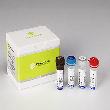 Kit di test per malattie infettive - PANA RealTyper™ - Panagene Inc. - degli enterobatteri