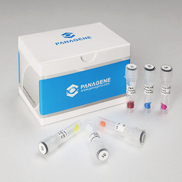 Kit di reagenti in soluzione - Panagene Inc. - per acidi nucleici / del peptide C