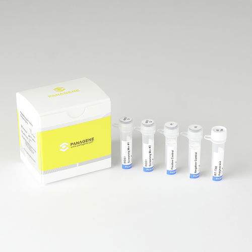 Test rapido del cancro del polmone - PNACIamp™  - Panagene Inc. - di oncologia / ROS1 Fusion / di tessuti paraffinati (FFPE)
