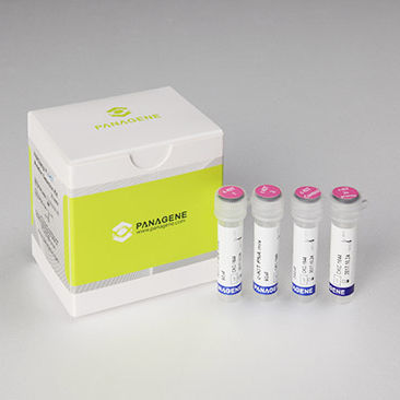 Kit di test oncologico - PNAC-8001 - Panagene Inc. - di oncologia / per tessuti / per RT-PCR