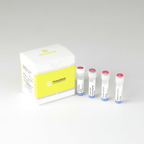 Test rapido oncologico - PNACIamp™  - Panagene Inc. - di oncologia / di cellule / per tessuti