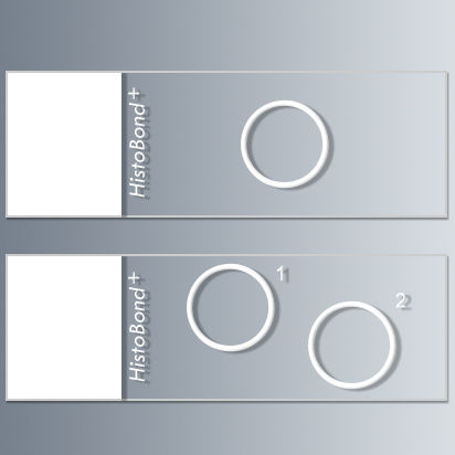 Vetrino per microscopio adesivo - HistoBond®+ - Paul Marienfeld