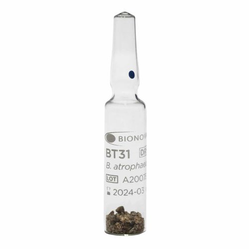 Indicatore biologico di sterilizzazione - BT31 - Terragene SRL - medico